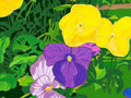 Pansies Flower Note Cards