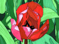 Red Tulips Flower Note Cards