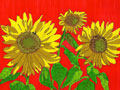 Sunflower Red Flower Note Cards